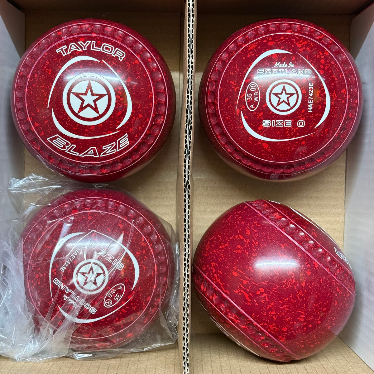 Taylor Blaze - Size 0 - Maroon/Red (White Rings) - WB35 Stamp