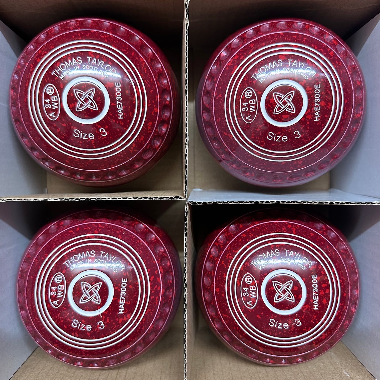 Taylor Ace - Size 3 - Maroon/Red (White Rings) - WB34 Stamp