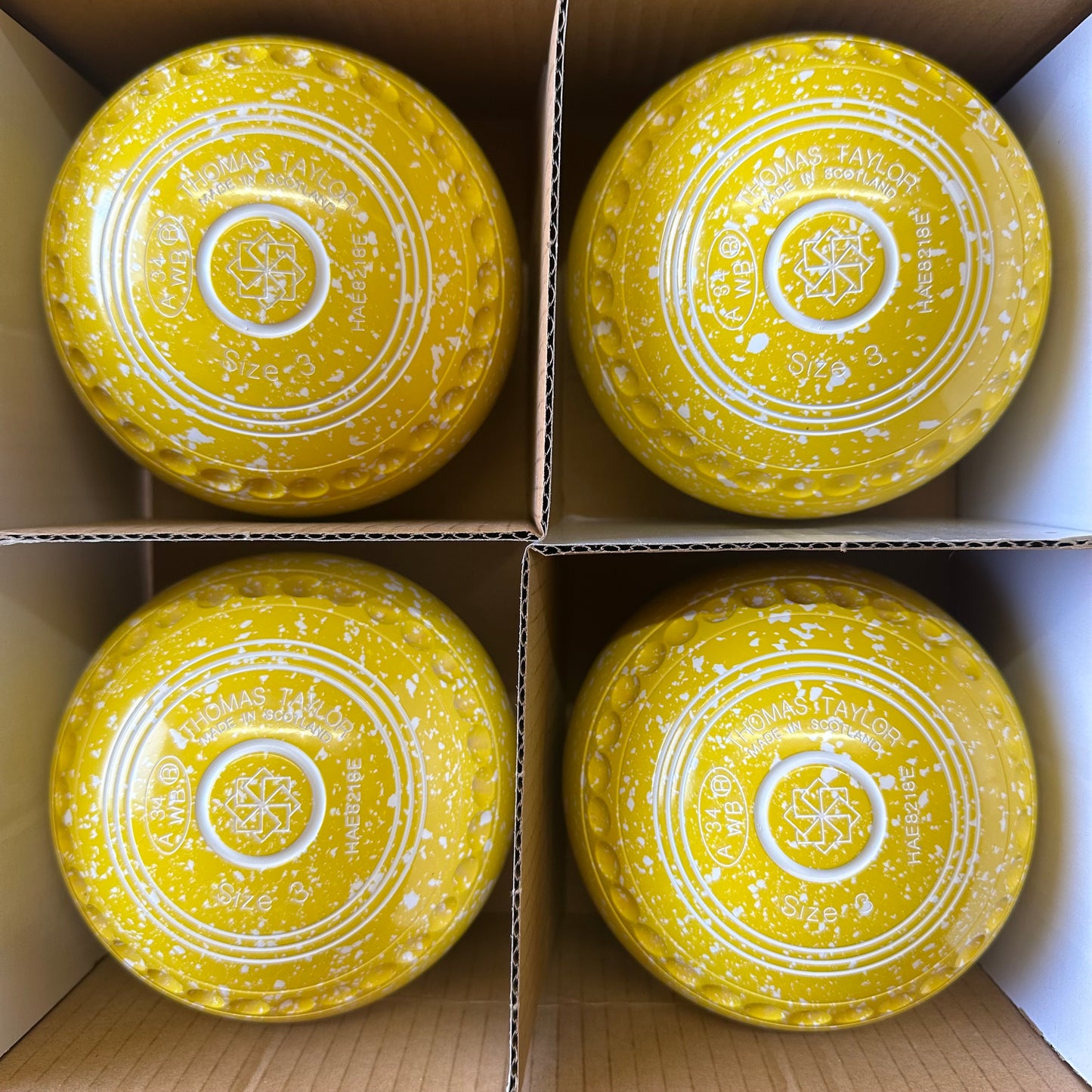 Taylor Ace - Size 3 - Lemon Sherbet (White Rings) - WB34 Stamp
