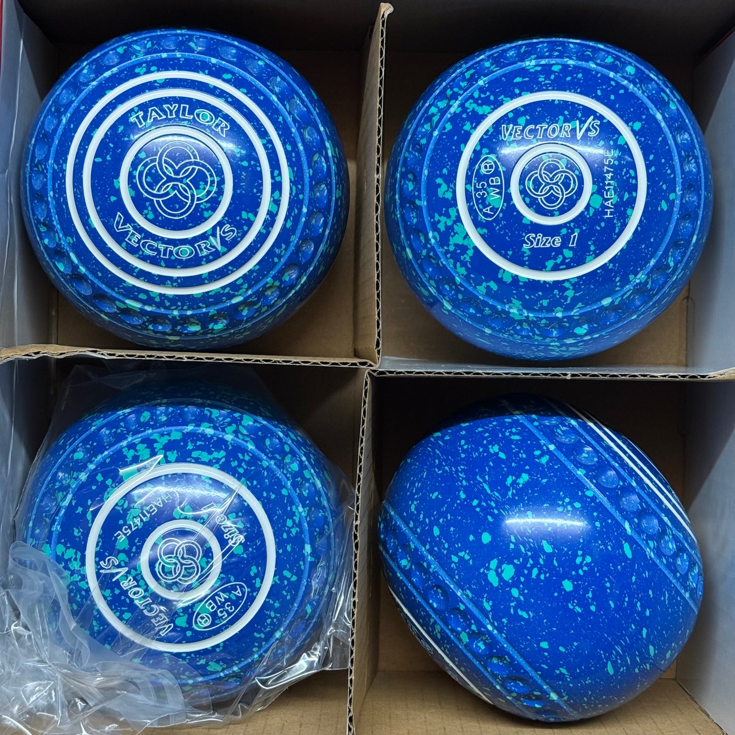 Taylor Vector VS - Size 1 - Blue/Mint (White Rings) - WB35 Stamp