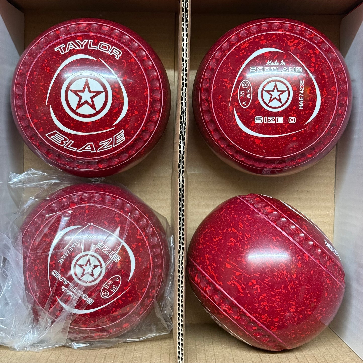 Taylor Blaze - Size 0 - Maroon/Red (White Rings) - WB35 Stamp