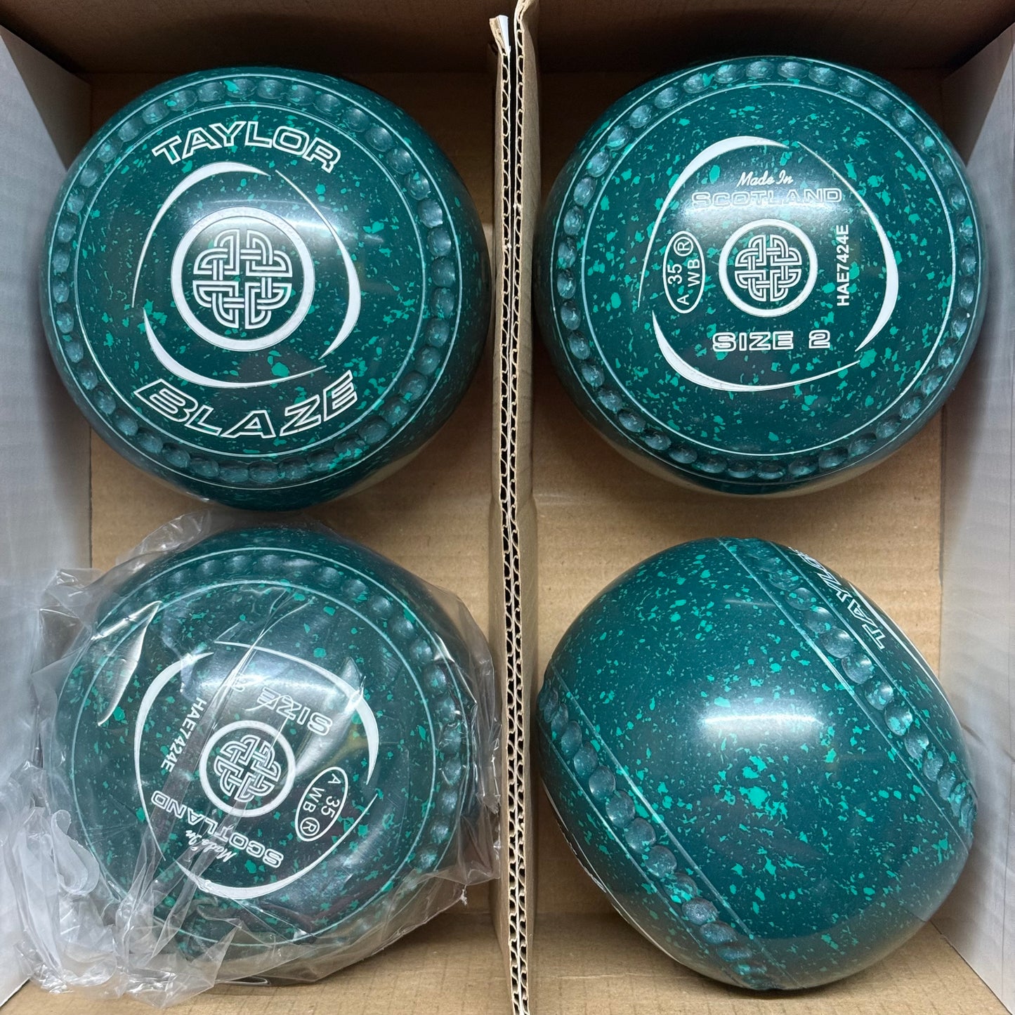 Taylor Blaze - Size 2 - Dark Green/Green (White Rings) - WB35 Stamp