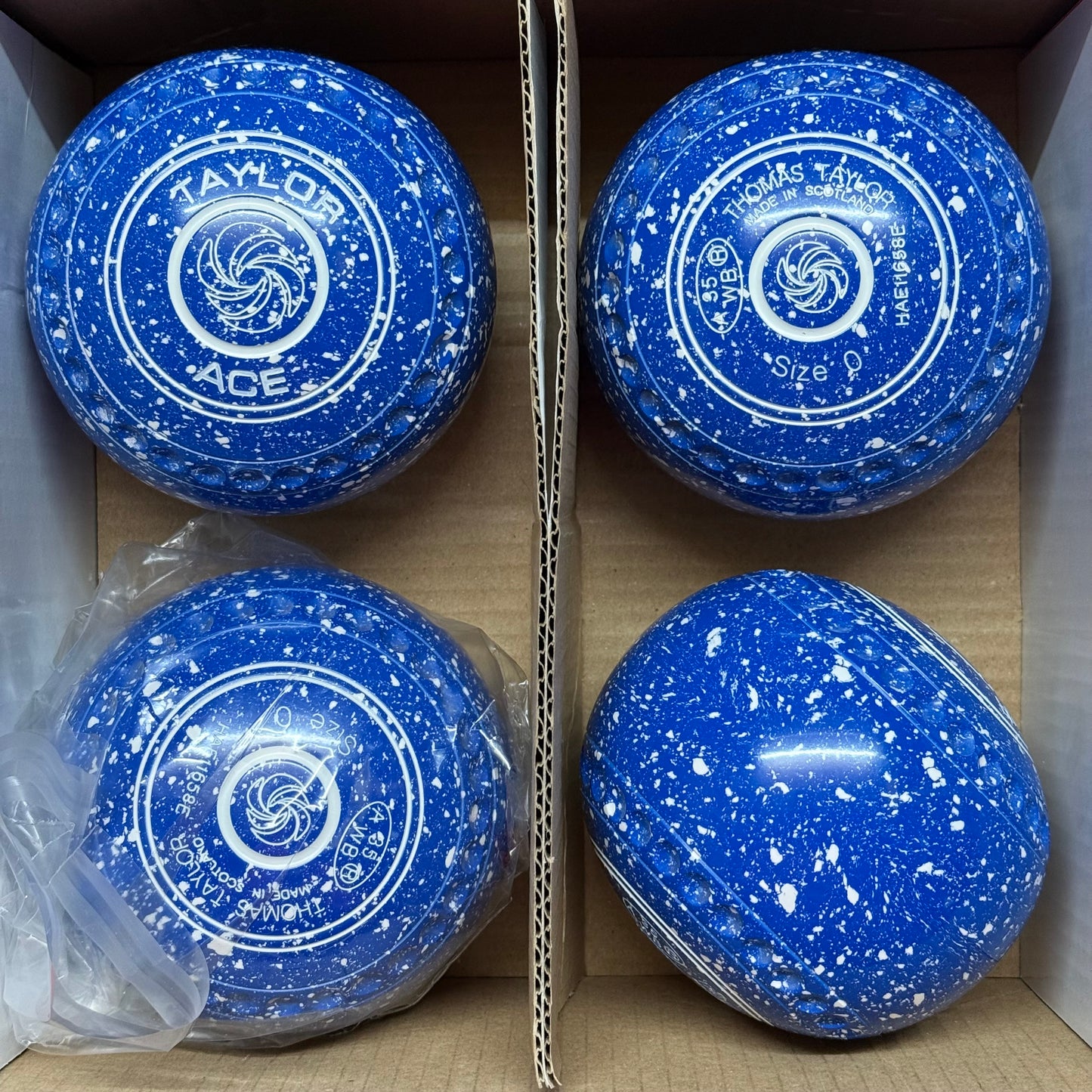 Taylor Ace - Size 0 - Blue/White (White Rings) - WB34 Stamp