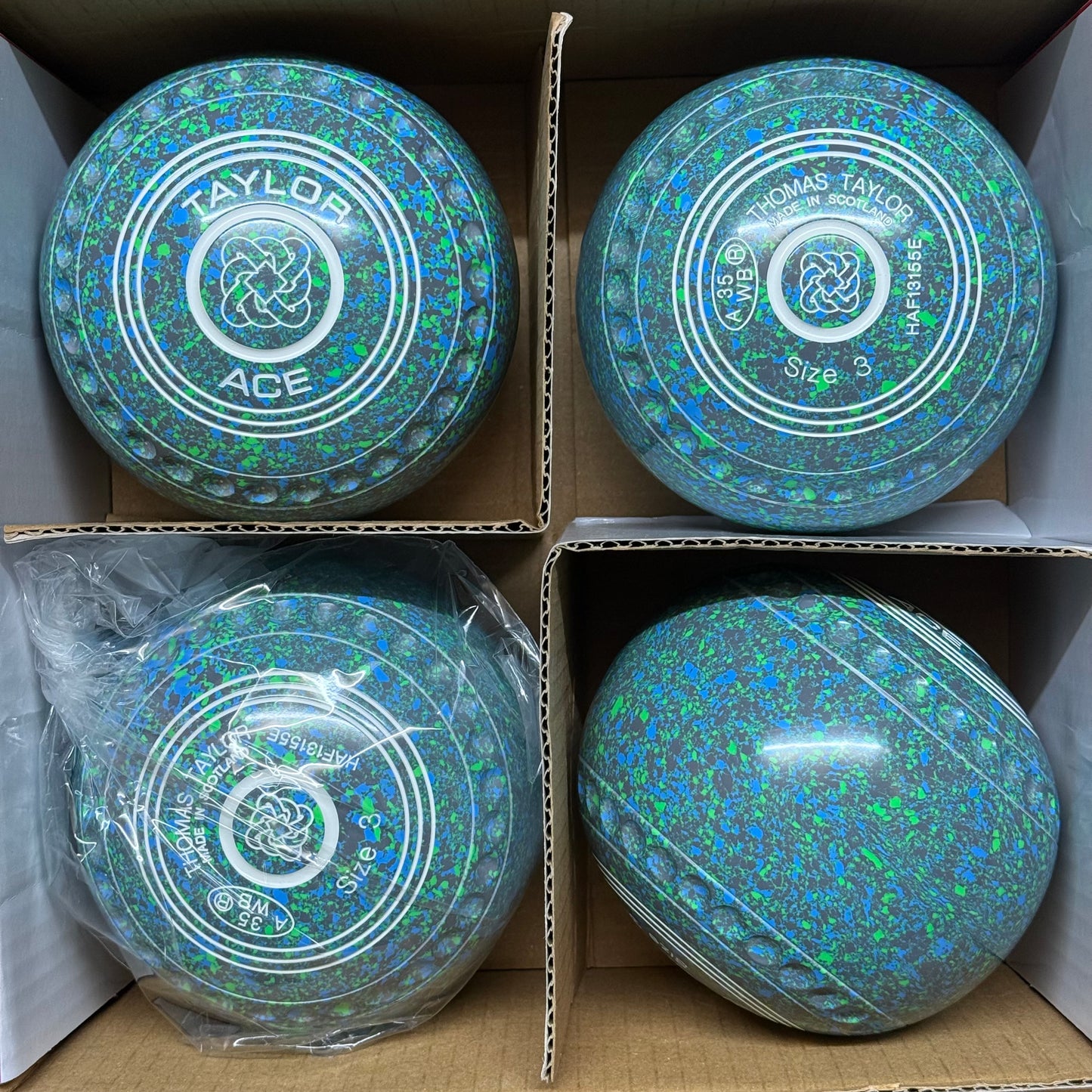 Taylor Ace - Size 3 - Iced Lime (White Rings) - WB35 Stamp