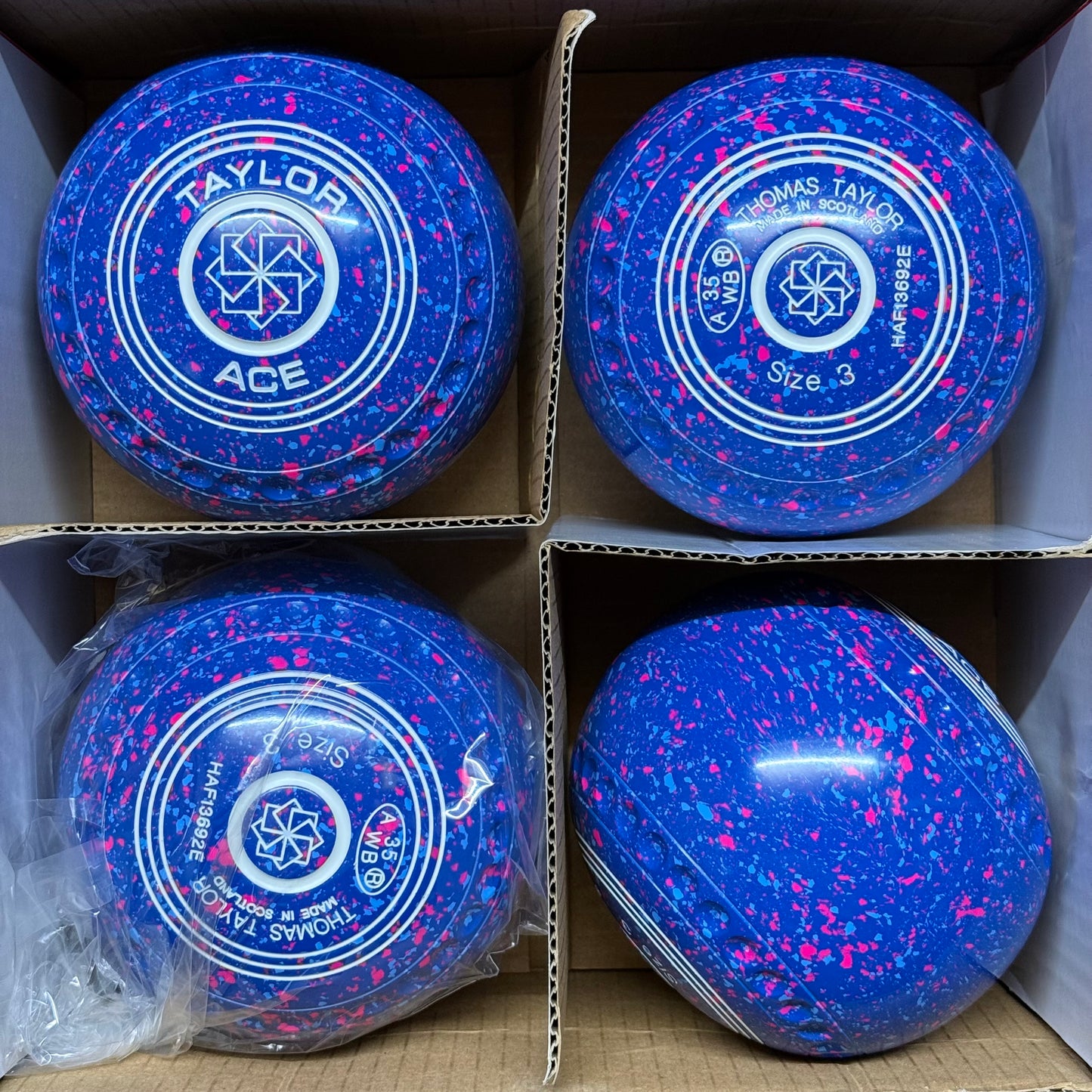 Taylor Ace - Size 3 - Electric Blue (White Rings) - WB35 Stamp