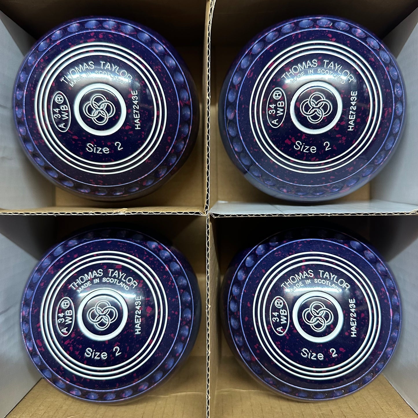 Taylor Ace - Size 2 - Dark Blue/Magenta (White Rings) - WB34 Stamp