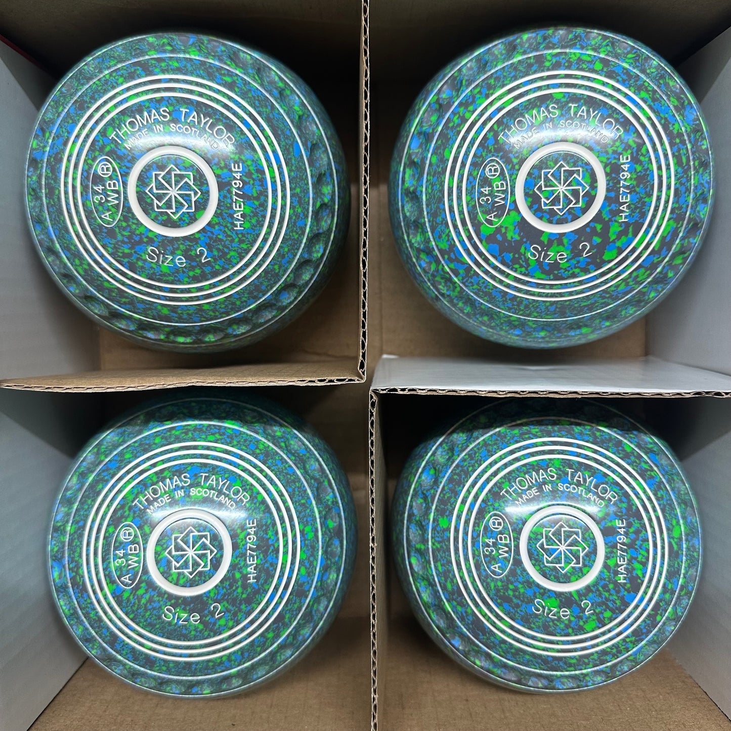 Taylor Ace - Size 2 - Iced Lime (White Rings) - WB34 Stamp